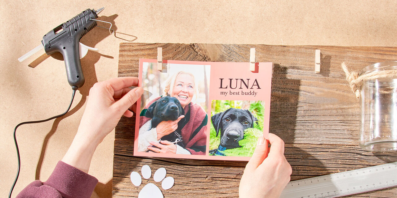Dve ruky upevňujú foto ihneď pomocou štipcov na bielizeň, na fotkách je vidieť majiteľka so svojim psom menom "Luna".