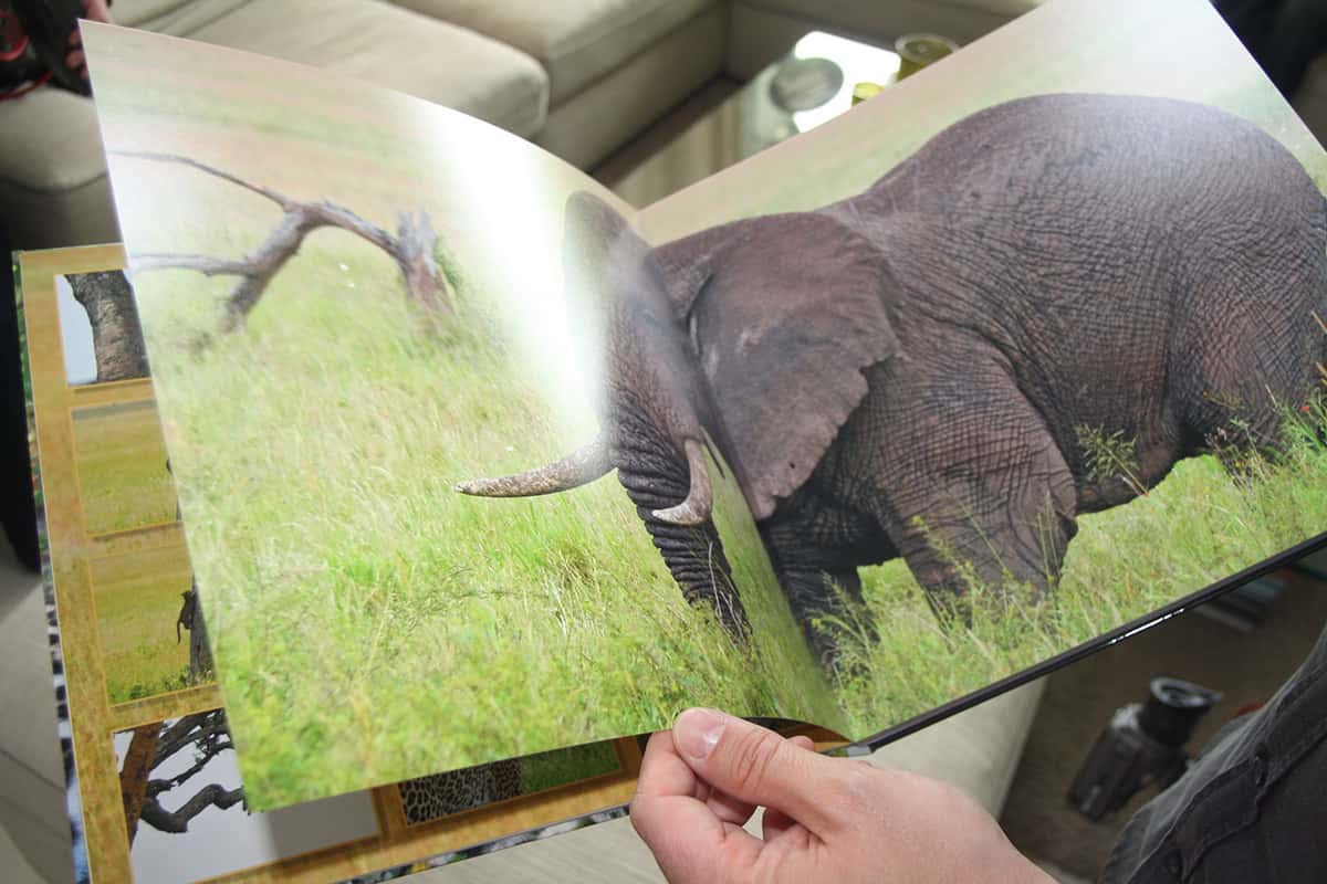 Slon v CEWE FOTOKNIHE